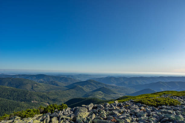 istock Rocky mountains in summer 1176631783
