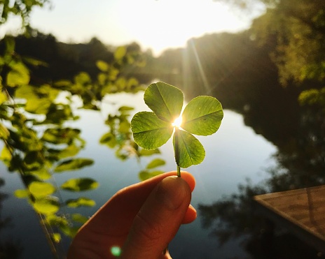 Hand with a four leaf clover with a magic light