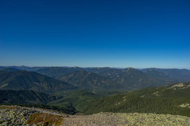 istock Rocky mountains in summer 1176632665