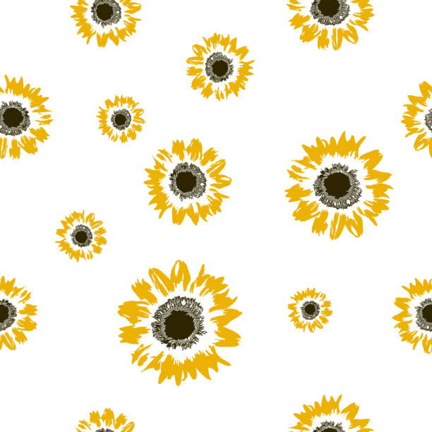 Sunflower Banner Pattern 33,200+ Sunflower Floral Pattern Stock Photos, Pictures & Royalty-Free ...