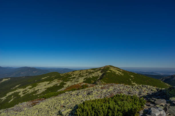 istock Rocky mountains in summer 1176633368