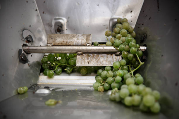 istock Handmade machinery for the grape press to make txakoli 1176636172