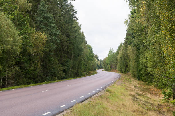 istock Winding asphalt road through a green forest 1176636251