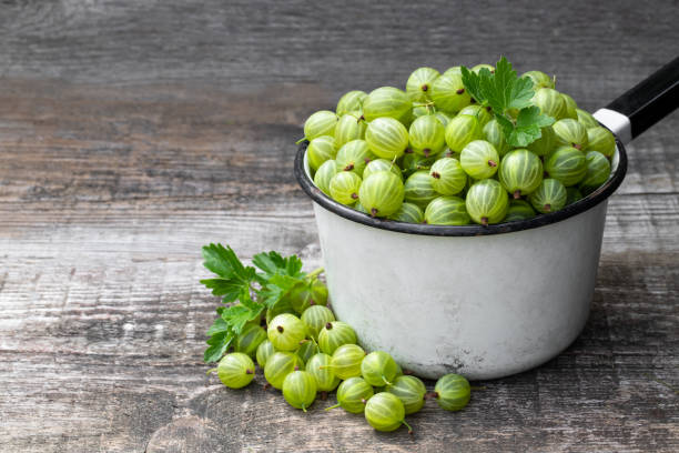 uva spina verde matura fresca su sfondo legnoso - gooseberry foto e immagini stock