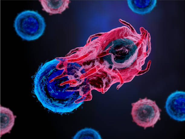 istock An immune T cell attacking a cancer cell 1176637282