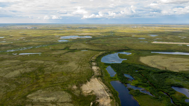 paisaje de la tundra forestal y la orilla del río arenoso, vista de pájaro. círculo polar ártico, tunda. hermoso paisaje de tundra desde un helicóptero. - república de sakha fotografías e imágenes de stock