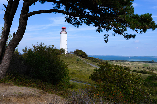 Dornbusch Lighthouse in Hiddensee Germany. The  photo shows heath landscape under blue sky. There is copy space available.