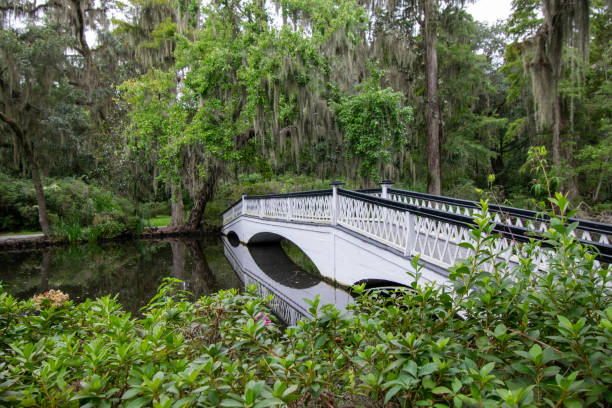 istock Bridge in swamp with spanish moss trees 1176642187