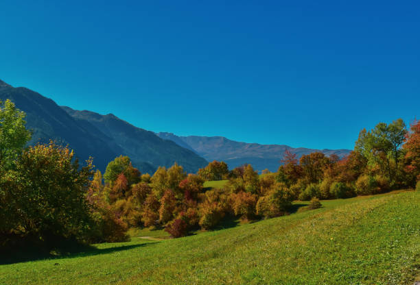 paisagem suíça colorida do outono em filisur. - graubunden canton fotos - fotografias e filmes do acervo
