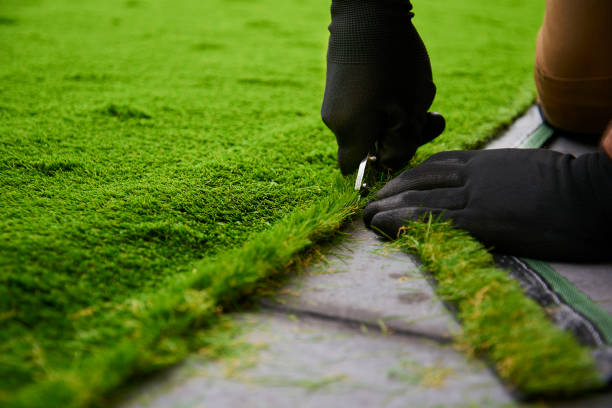 istock Trimming edges of artificial grass 1176647805