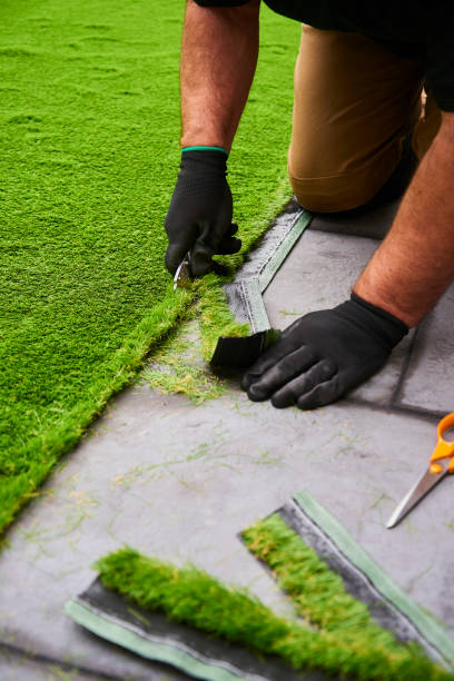 istock Trimming edges of artificial grass to fit 1176648426
