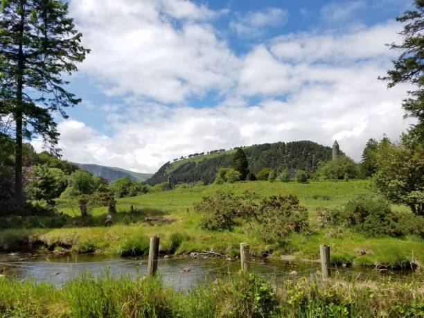 istock The beauty of nature 1176649405