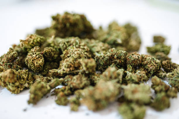 istock Dry buds of marijuana 1176652163