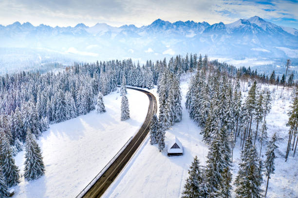 istock Winter landscape with road 1176652404