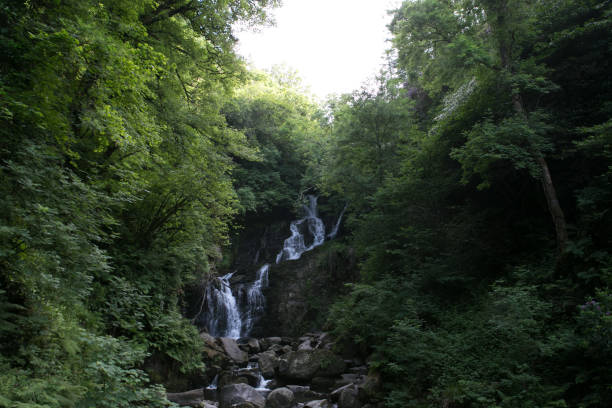 istock Landscape in Ireland 1176653259
