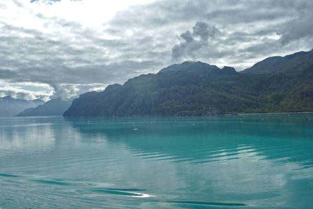 istock Glacier Bay National Park 1176654871