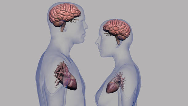Woman holding a human brain.