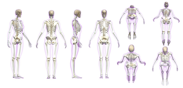 Woman adult skeleton with transparent gel skin white background 3d render
