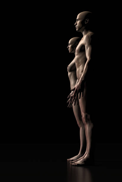 istock Anatomtical body structure of male and female side view 3d render 1176658574