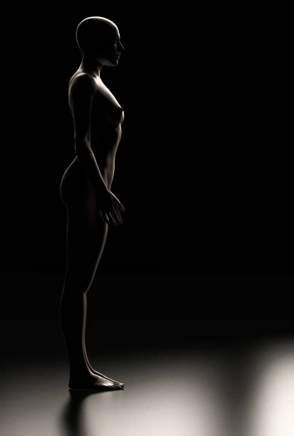 istock Side view of female body full lenght with backlight 3d render 1176658585