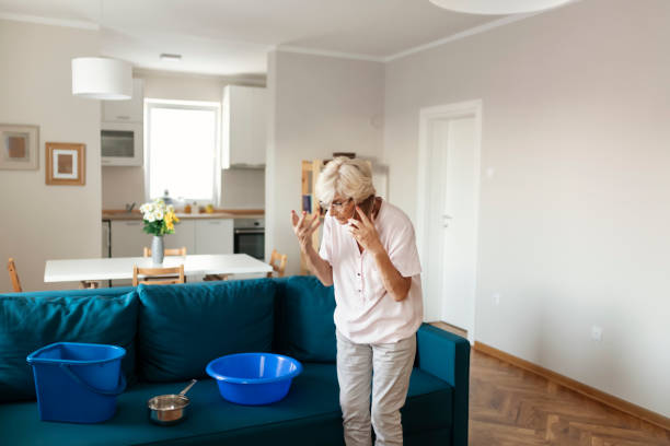istock Woman has a leak in the house 1176660241