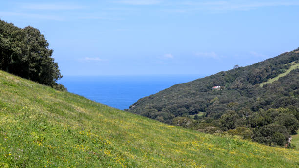 istock The sea between the mountains in 