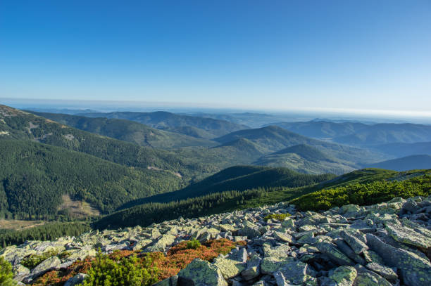 istock Rocky mountains in summer 1176661335