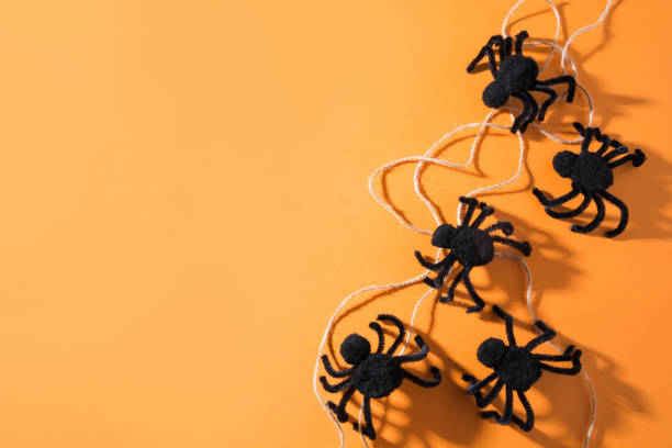 istock Halloween decorations with black spiders and pumpkin on orange background. Flat lay, top view, copy space. 1176661807
