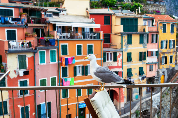 Riomaggiore village in Cinque Terre, Italy.