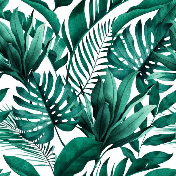 tropikalny bezszwowy wzór z egzotycznymi monsterami, bananami i liśćmi palmowymi na białym tle. - egzotyczne drzewo obrazy stock illustrations