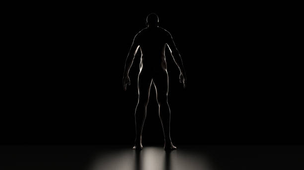 istock Naked guy view from behing with backlight against dark background full lenght 3d render 1176667292