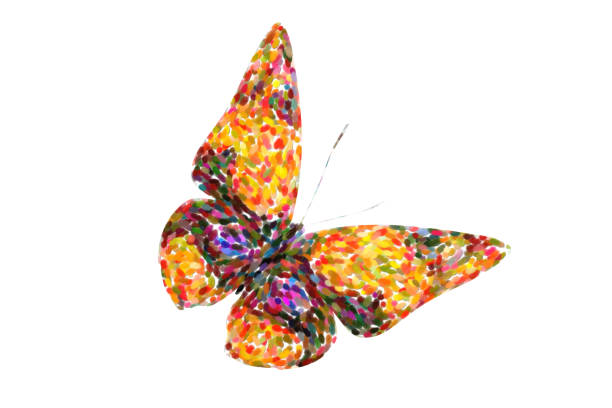 istock tropical orange butterfly. isolated on white background 1176676952