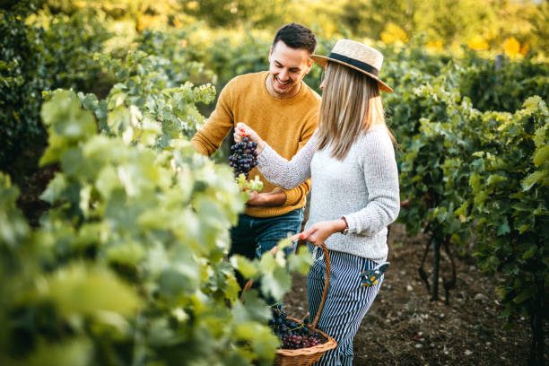 istock Young couple at vineyard 1176676965