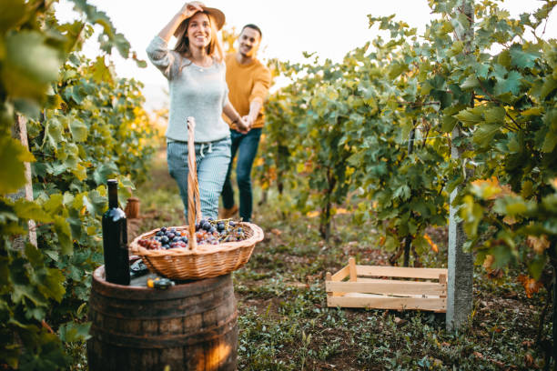 istock Happy couple walking through vineyard 1176677895