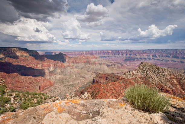 istock The Grand Canyon from Cape Royal 1176677915