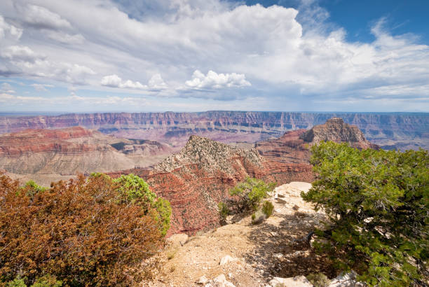 istock The Grand Canyon from Cape Royal 1176677965