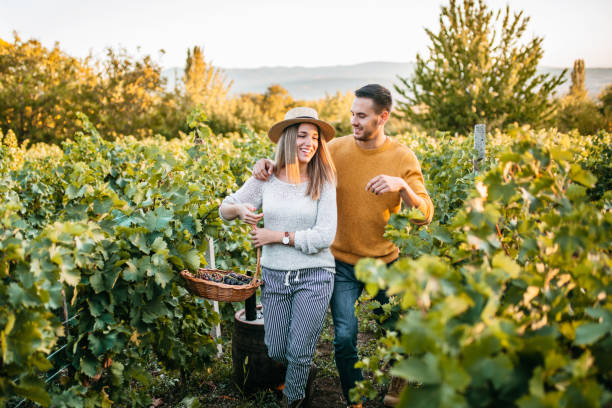 istock Happy couple walking through vineyard 1176678107