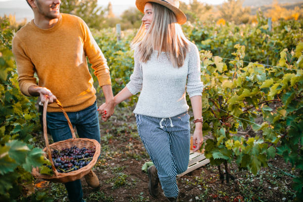 istock Happy couple walking through vineyard 1176678909