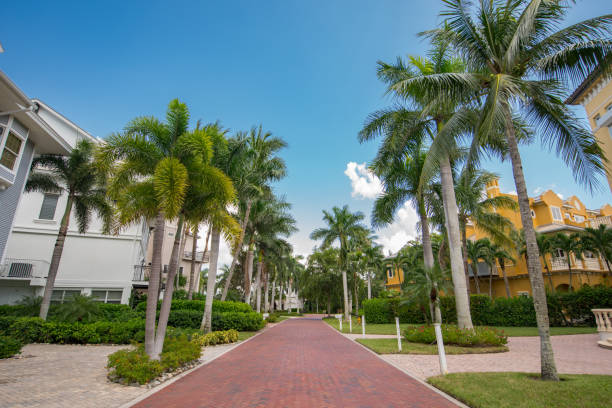 istock Luxury homes Barefoot Beach Naples Florida USA 1176680849