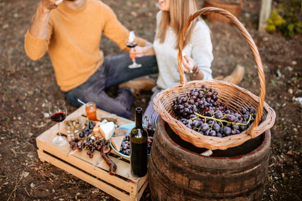 istock Picnic at vineyard after grape harvest 1176682552