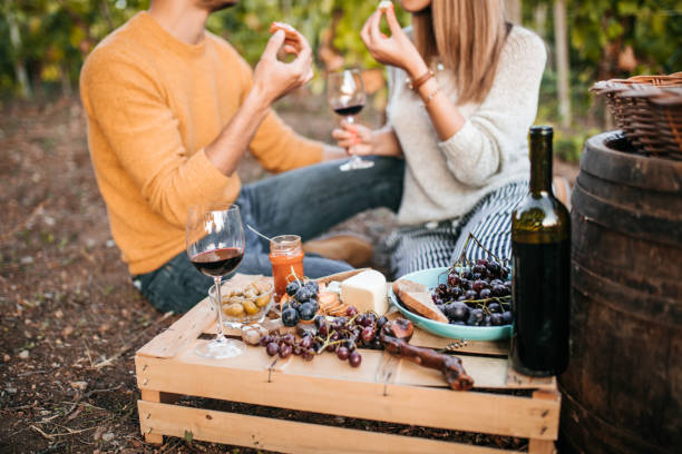 istock Picnic at vineyard after grape harvest 1176682577
