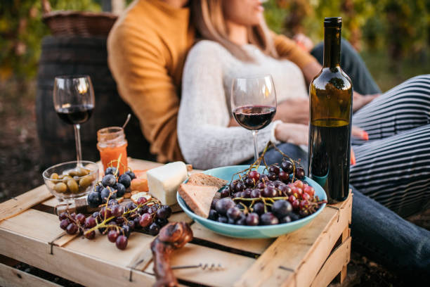 istock Picnic at vineyard after grape harvest 1176682592