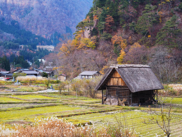 istock Shirakawa-go village, Japan. 1176689291