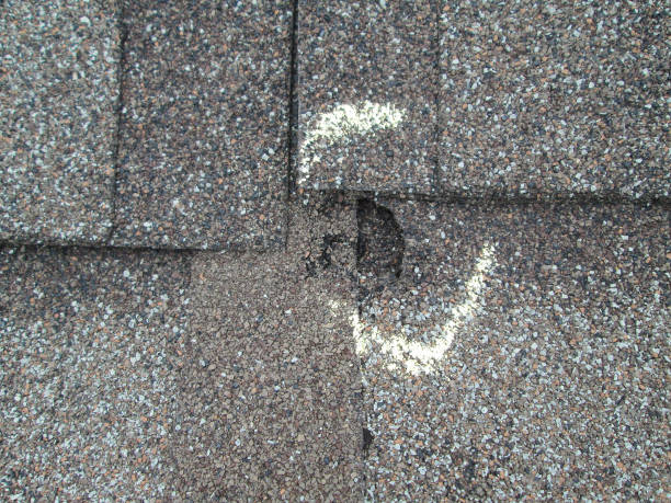 Roof Shingle Hail Damage Hail Damage Inspection Marking damaged stock pictures, royalty-free photos & images