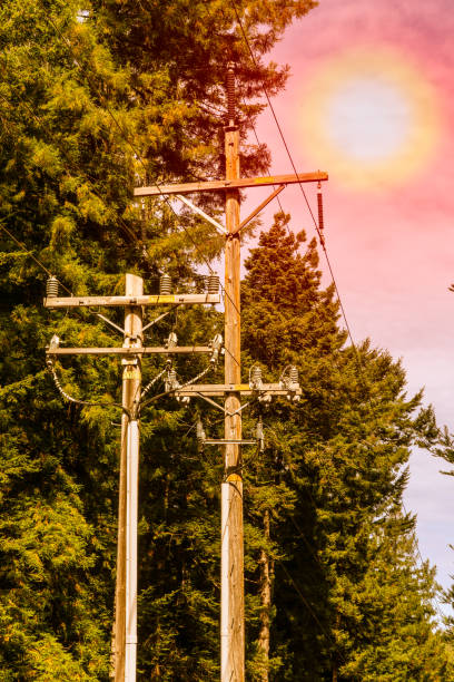 istock Power lines by trees. Dangerous condition for wildfires 1176695541