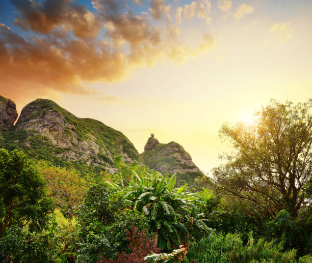 istock View on the mount Pieter Both at sunset, Mauritius island. 1176700891