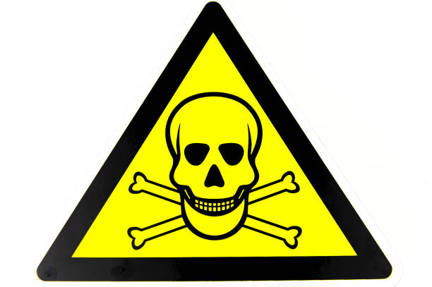 Skull and crossbones, the symbol of danger or of pirates, cut out of a textured material.