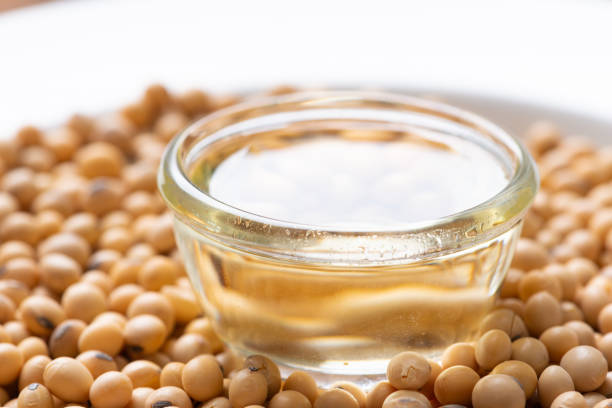 istock Soy bean and soy oil on  table 1176703024