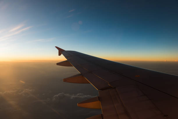 istock The plane is flying through the sunset sky 1176703159
