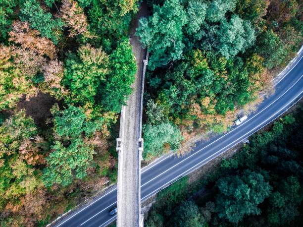 istock Aerial view of highway and viaduct bridge 1176703831